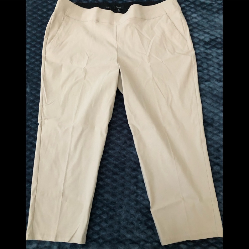 Simply Vera.  Pull on stretch capris.    Size XL. New without tags